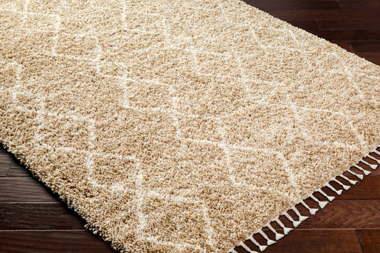 Ishan Area Rug